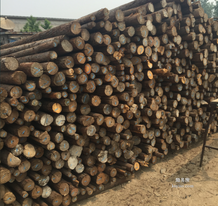北京废旧木方回收钢管回收北京工地废旧木方竹胶板回收
