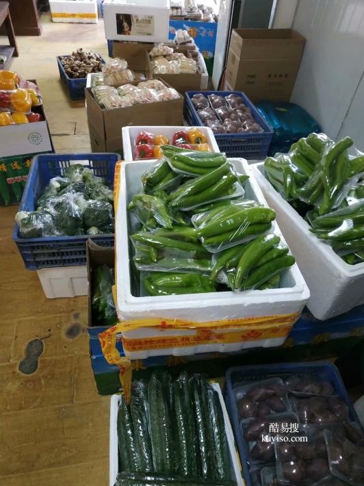 郑州蔬菜 无公害礼品集装箱