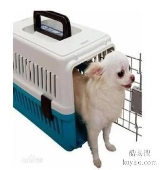 国内国际宠物托运公司 枣庄专业宠物专项托运业务 诚信靠谱