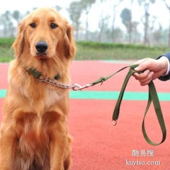 厦门海沧宠物狗狗行为训练 附近训犬基地