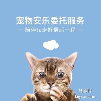 威海市宠物猫遗体火化,威海家庭宠物善后服务中心