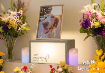 兰州宠物埋葬 宠物纪念馆 宠宝服务联系方式