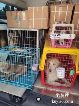 枣庄至全国宠物托运 上门接送宠物活体运输