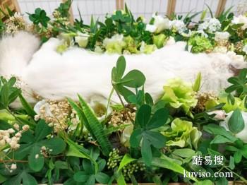 天津河东温馨宠物殡葬服务 可协助宠主联系安乐服务