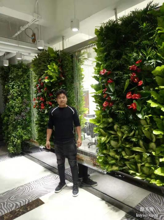 北京绿植养护公司