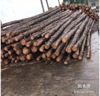 邯郸邯山木模板 木跳板 竹梯子 防汛木桩批发公司