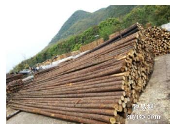 邯郸复兴本地松木桩 竹笆片 植树杆 竹片批发厂家