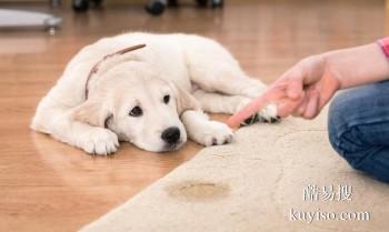 包头固阳行为纠正 工作犬行为训练 诚信保障