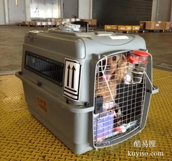 安庆宠物托运公司电话宠物狗托运专车火车空运
