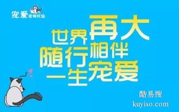 安庆全国宠物托运24小时接送