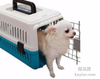 安庆机场宠物托运 托运猫猫狗狗兔子 上门接宠