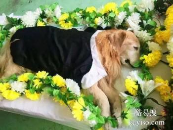 咸阳宠物埋葬 宠物纪念馆 宠宝服务联系方式