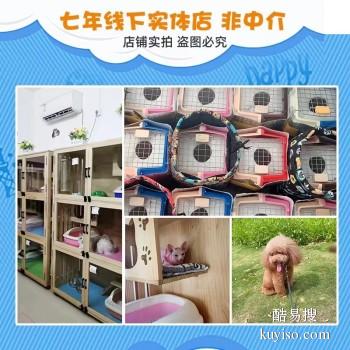 安阳滑县专业猫狗托运 上门接送 宠物托运至全国