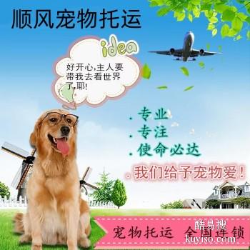 锦州 宠物托运猫狗活体运输锦州周边上门取宠