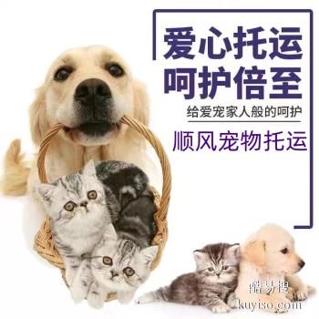 滨州 宠物托运小猫小狗运输活体托运
