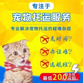 信阳潢川 宠物托运本地猫狗活体运输平台