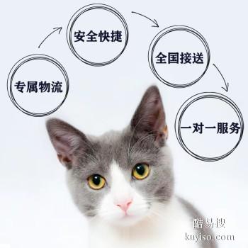 光山2023宠物托运公司服务优质,欢迎来询
