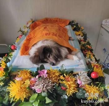 枣庄本地陪宠宝走完后一段路 宠物服务 宠宝殡葬公司
