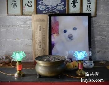 滁州宠物殡葬 宠物终点站 宠宝天堂联系方式