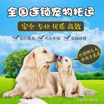 安阳林州专门托运宠物的公司