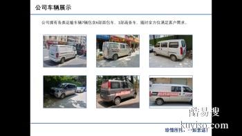 惠城水口专业提供宠物托运服务 24小时上门接送