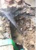 滁州南谯水管漏水检测公司 消防管道漏水探查 漏水检测