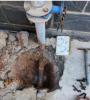 大观消防管网漏水检测修复公司 自来水管检测漏水修复