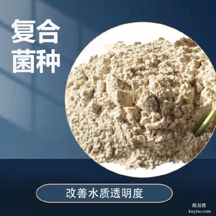 石家庄平山生物菌种厂家电话