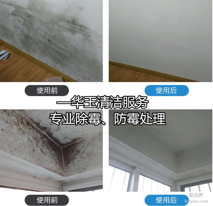 广州越秀专业除霉公司天花板除霉、卫生间除霉、全屋墙壁去霉服务