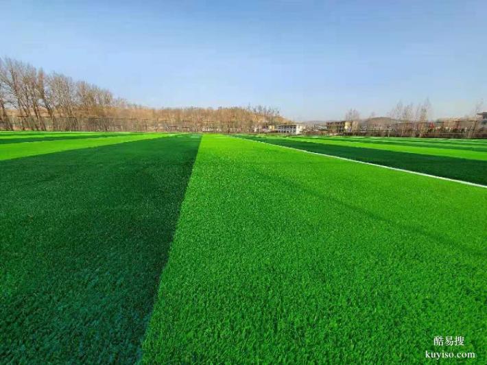 乌兰察布人造草坪休闲场高标准施工