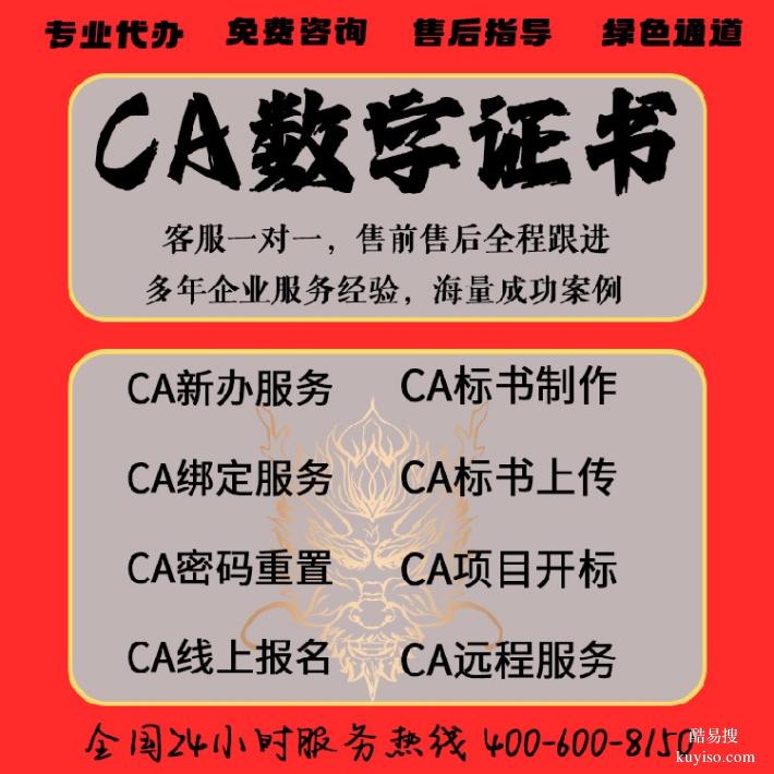 湖北彭场镇代办CA投标锁