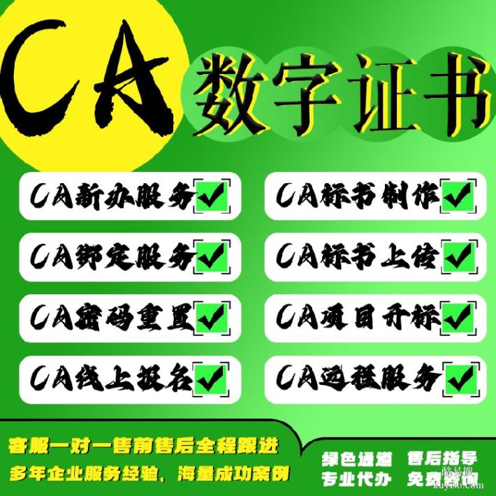 海南保亭代办CA投标锁