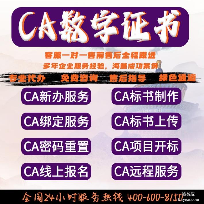 河北南皮县代办CA投标锁