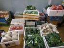 郑州单位礼品蔬菜集装箱