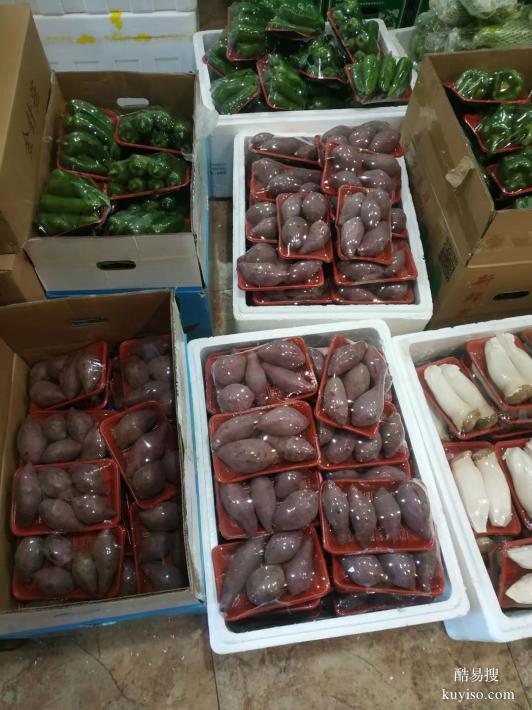 郑州蔬菜礼品 集装箱