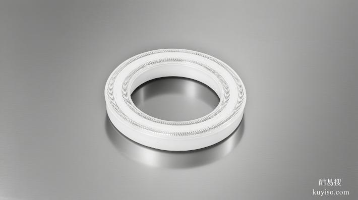 食品設備聚乙烯雙層彈簧泛塞封密封件廠家