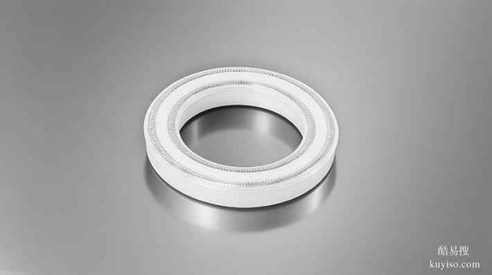 食品設備聚乙烯雙層彈簧泛塞封密封件廠家