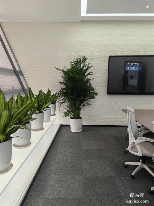 綠植租擺大型花卉租擺天津谷鑫亞泰綠植租賃公司常年綠植租賃服務