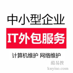 天津中小企業(yè)it外包服務