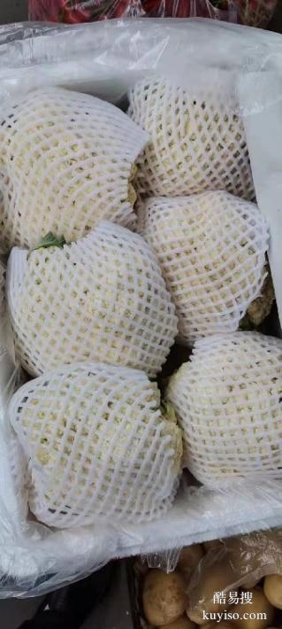 廈門(mén)蔬菜配送廈門(mén)食堂承包廈門(mén)蔬菜生鮮配送公司