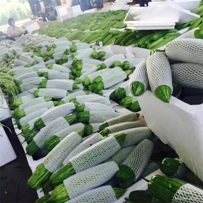 廈門蔬菜配送廈門配送蔬菜泉州送菜公司