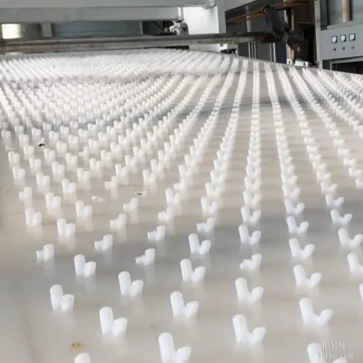 樂(lè)山錨固板廠家,排水溝hdpe多點(diǎn)錨固板PP擠出一體成型抗拔