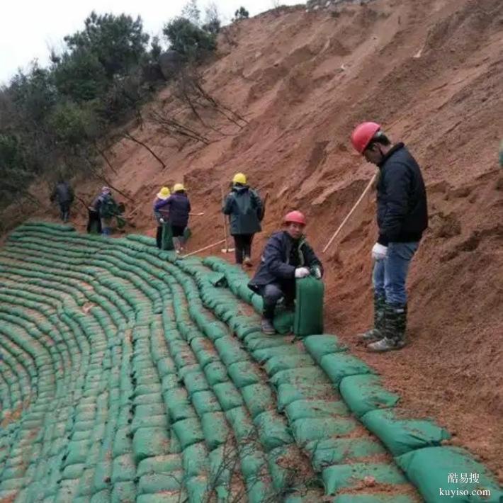 宁夏供应生态袋,公路护坡生态袋子