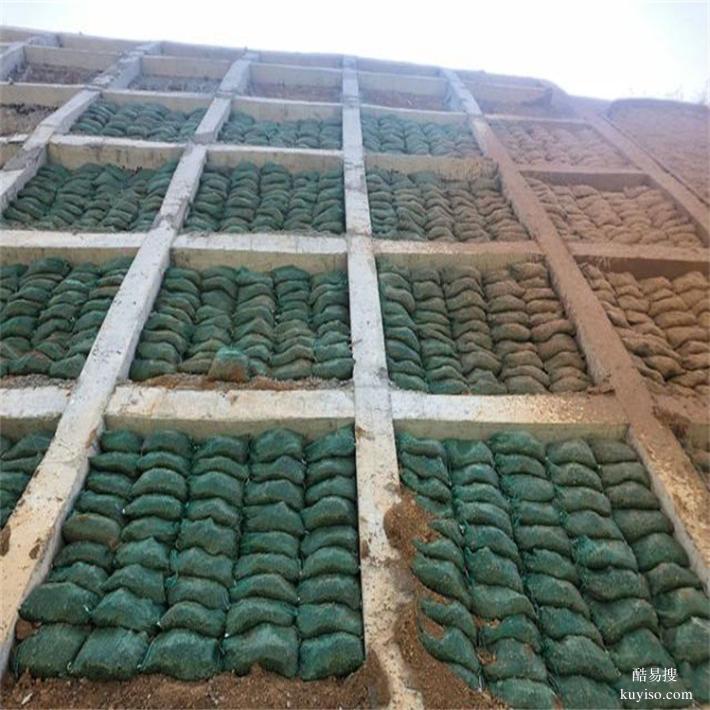 北京供应生态袋,堤坝防护护坡生态袋施工工艺有哪些
