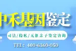 葉集親子鑒定中心地址總覽共5家（附2025年親子鑒定地址總覽）