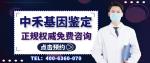 龍州縣無創(chuàng)親子鑒定最新收費(fèi)標(biāo)準(zhǔn)一覽（2025最新鑒定收費(fèi)）