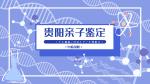 貴陽(yáng)親子鑒定中心收費(fèi)一覽（2025最新更新）