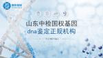 市中區(qū)本地5家正規(guī)親子鑒定中心地址一覽（附2025年鑒定價格表）