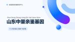 歷下區(qū)隱私親子鑒定機構名單一覽(附2025年9家鑒定地址匯總查詢)