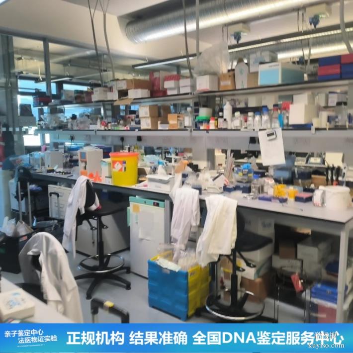 武漢25第四季度上戶口親子鑒定基本繳費流程（加急可3小時結果）